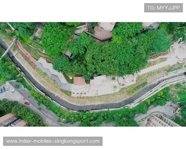 哥斯达黎加萨普里萨边路重建:拓展未来的绿色之路